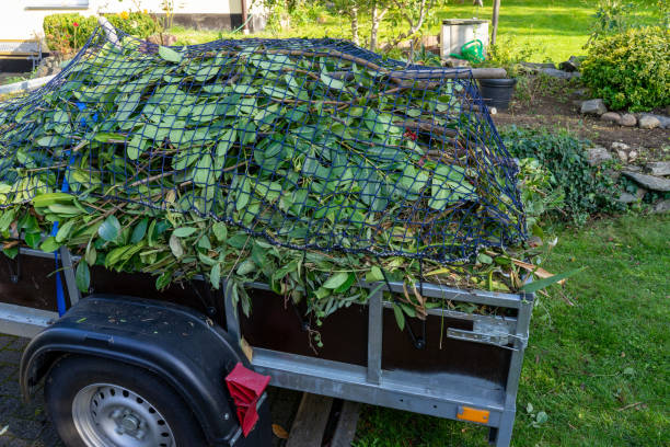 Best Appliance Removal  in Morris, MN